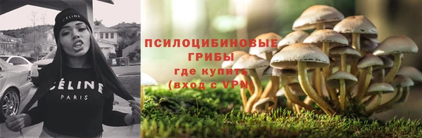 каннабис Аркадак