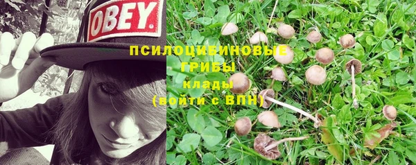 каннабис Аркадак