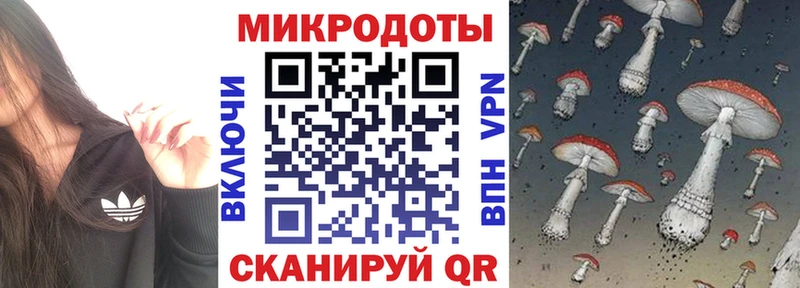 Псилоцибиновые грибы Psilocybine cubensis  Свирск 
